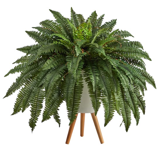 2.5ft. Boston Fern in Planter with Legs